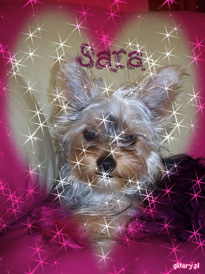 2 glitery pl Julu0 1580