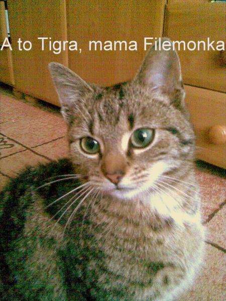 Tigra