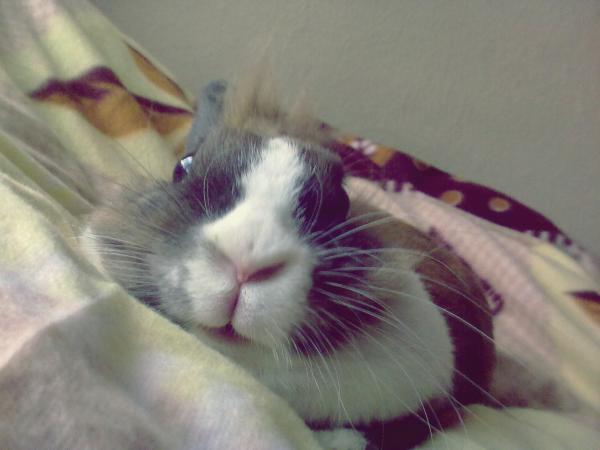 kocham to zdj ♥