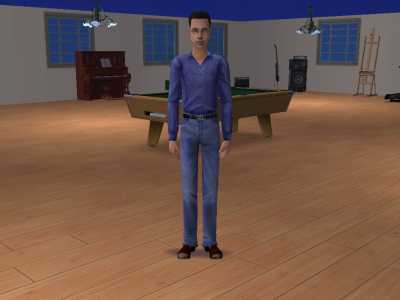 1 sim