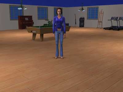 4 Sim