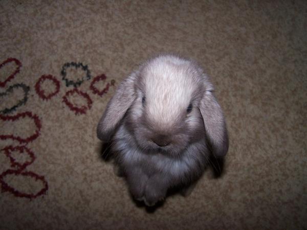 May czubek ^^